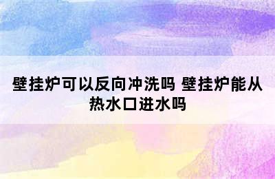 壁挂炉可以反向冲洗吗 壁挂炉能从热水口进水吗